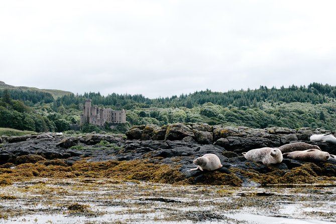3-Day Isle of Skye, 'Hogwarts Express' Train and Highlands Tour - Portree stays, breakfasts, and what you should budget