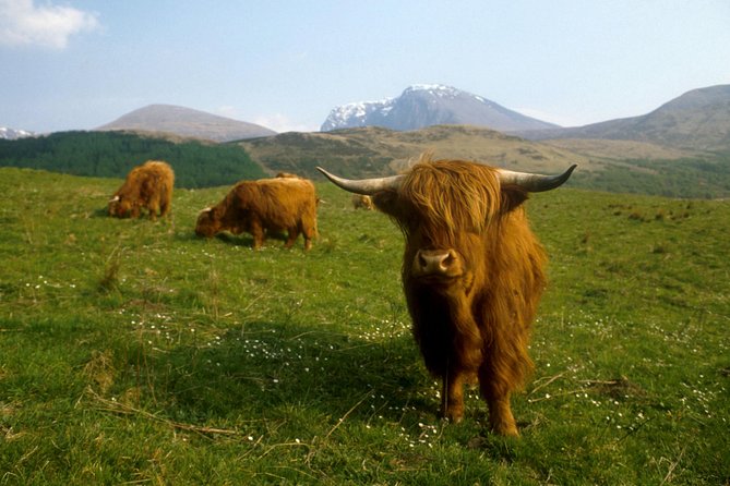 3-Day Isle of Skye, 'Hogwarts Express' Train and Highlands Tour - Price and value: what you’re really paying for at $926.56
