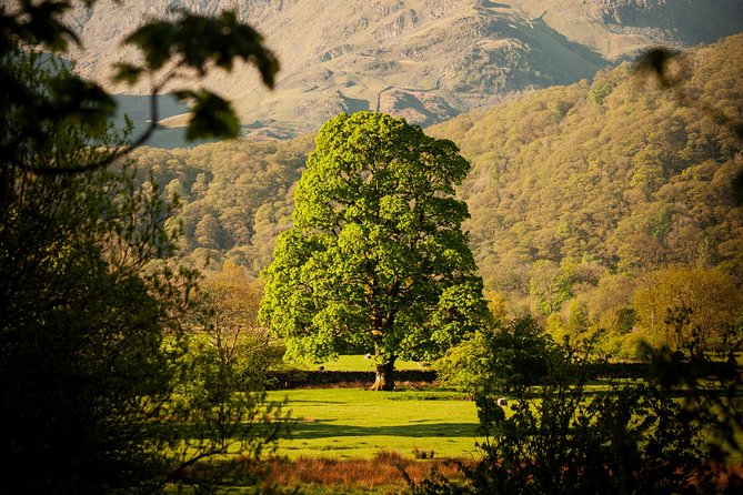 3-Day Lake District Explorer Small-Group Tour from Edinburgh - Choosing Your Kind of Lake District Trip: Who This Fits Best