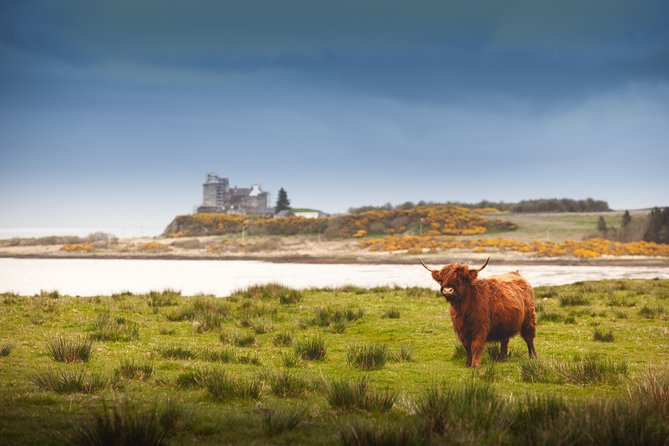 4-Day Magical Mull, Iona & West Highlands Small-Group Tour from Edinburgh - Mull Day 3: Calgary Bay for the reset, with art and whisky stops