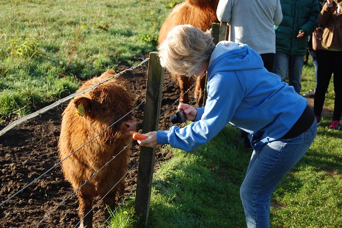 5-Day Best of Scotland Tour from Edinburgh - Getting to the countryside: mini-bus comfort, group size, and your schedule