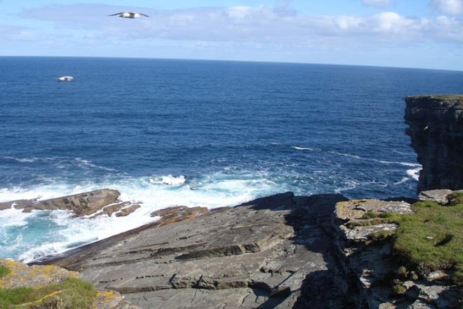 5-Day Orkney & Northern Coast Tour from Edinburgh Incl Admissions - Price value: what’s included, what costs extra, and how to budget