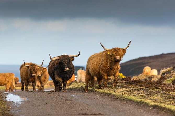 8 Day Isle of Skye, Orkney & North Coast 500 tour from Edinburgh - The Comfort Stuff That Actually Matters: Small Group, B&Bs, and Breaks