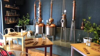 Distillery Masterclass - 8 Scottish gins paired with cheeses - The main event: eight gins, eight cheese pairings, and guided tasting
