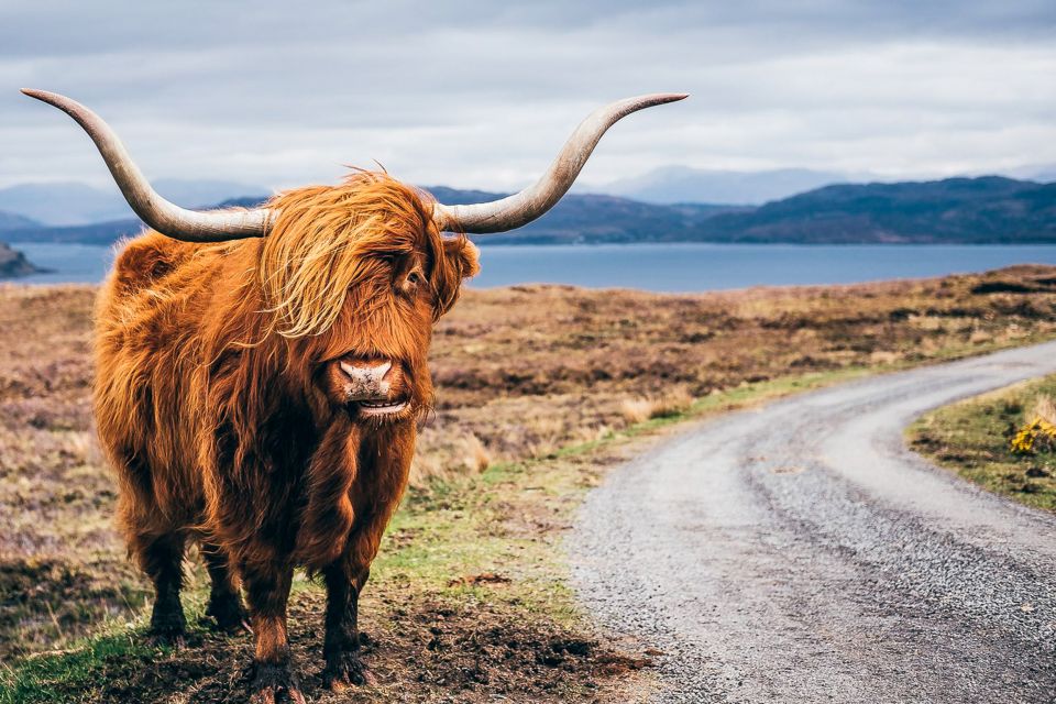 Edinburgh: 3-Day Isle of Skye, Highlands, and Loch Ness Tour - Why This Skye–Highlands–Loch Ness Loop Works in 3 Days