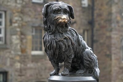 Edinburgh Castle & Old Town Small Group Guided Tour - Religion, crosses, and Scotland’s tangled past in the streets
