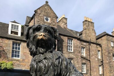 Edinburgh City 4 Hour Private Guided Taxi Tour - Pickup to return: how the day flows without headaches