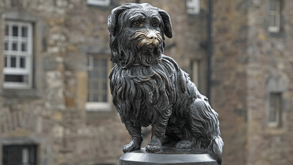 Edinburgh: Discover Edinburgh's Old Town Walking Tour - Key things you’ll notice on this Old Town walk