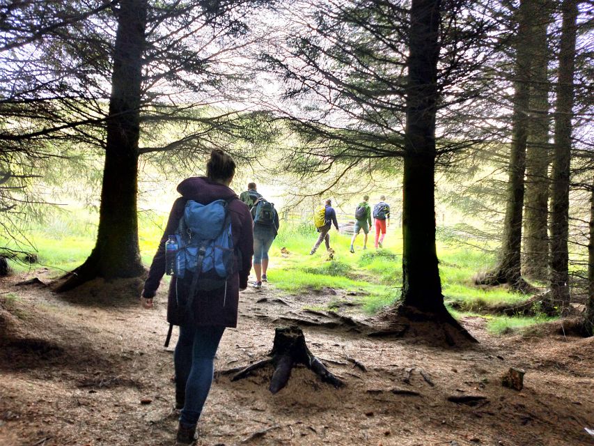 Edinburgh: Hill & Nature Hike With a Local - Weather reality: rain, wind, and what to wear so you stay comfortable