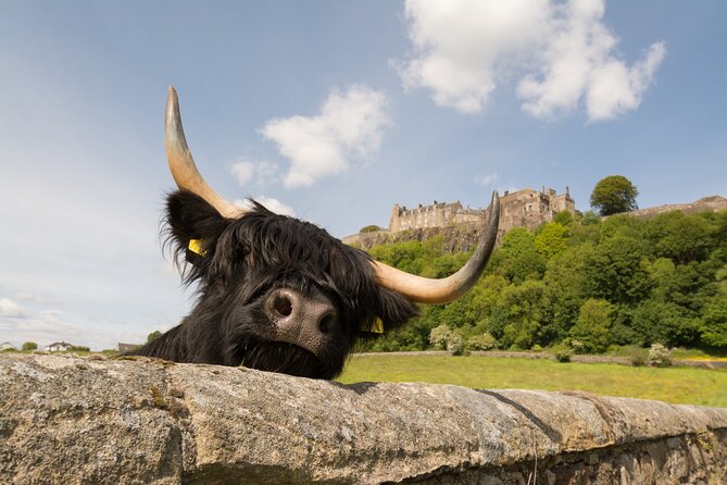 Edinburgh: Loch Lomond, Stirling Castle and the Kelpies Day Tour - The Kelpies and The Helix: A Mythological Stop You Can’t Ignore
