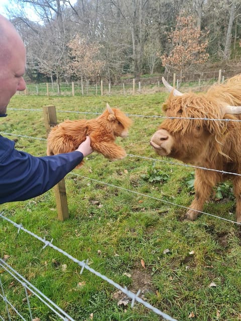 Edinburgh: Loch Ness, Glencoe, Coos & the Highlands Day Tour - Price and logistics: what $72 really means for a 12.5-hour route