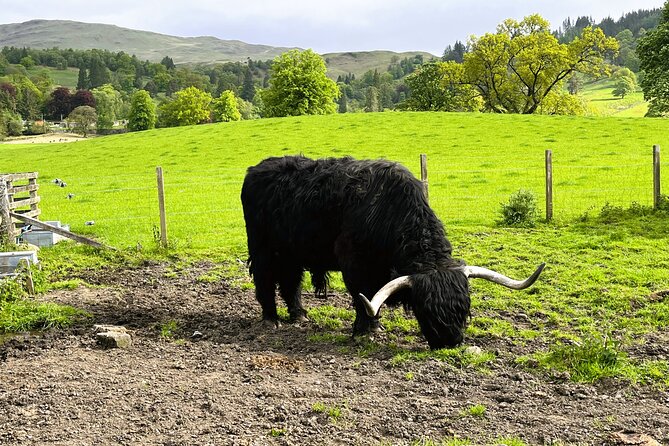 Edinburgh: Loch Ness, Glencoe & The Highlands - Glencoe and the Three Sisters: where history and drama share the road