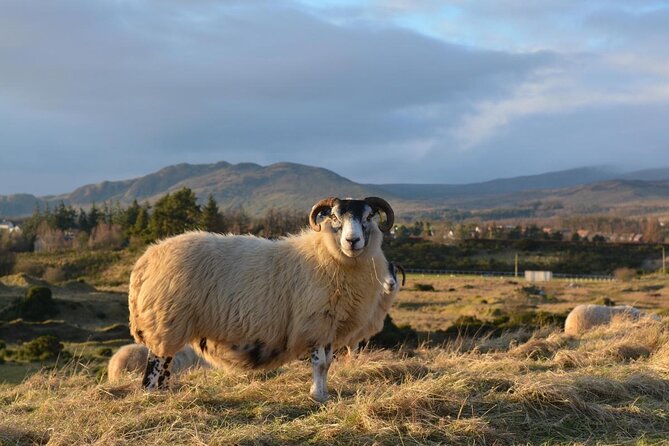 Edinburgh: Loch Ness, Inverness & The Highlands - 2 Day Tour - Key highlights worth booking for