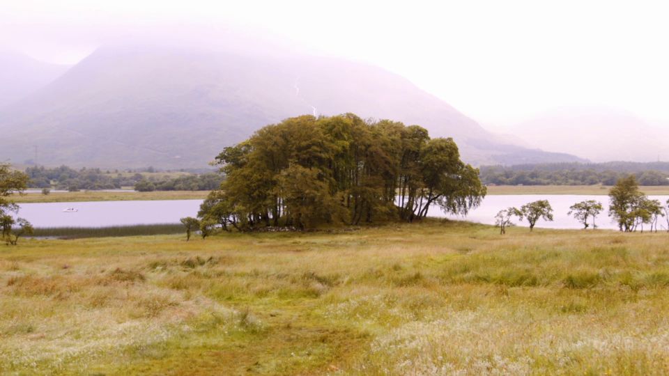 Edinburgh: Oban, Kilchurn Castle & Inveraray Tour in Spanish - Argyll Forest Park and Balloch: the drive that finishes strong