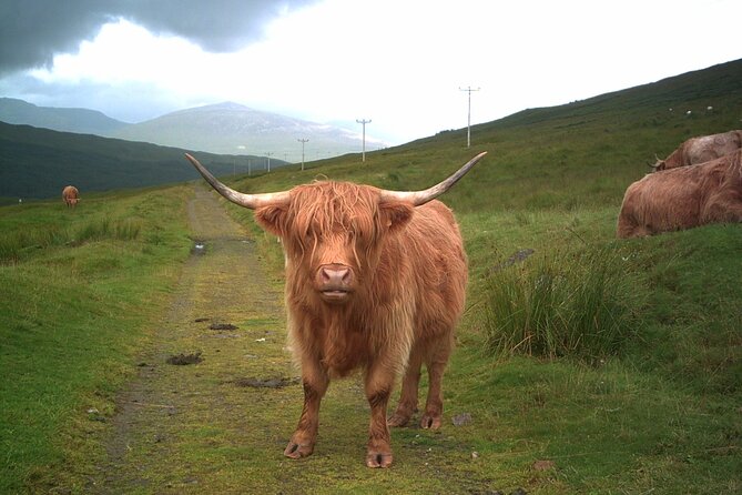 Edinburgh: Private Loch Ness Glencoe and The Highlands Tour - Glencoe’s quick photo stop: 20 minutes that can still pay off