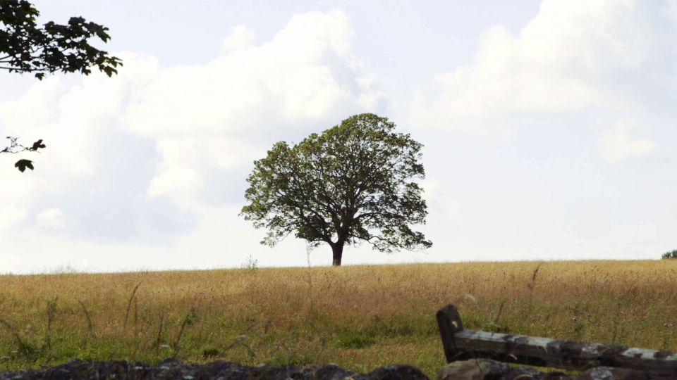 Edinburgh: Rosslyn Chapel and Hadrian's Wall Tour in Spanish - Timing, comfort, and what to pack for the 08:15–19:30 schedule
