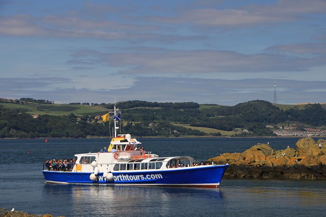 Edinburgh Three Bridges Cruise - Wildlife Time on the Firth of Forth: Seals, Puffins, and How to Maximize Your Odds