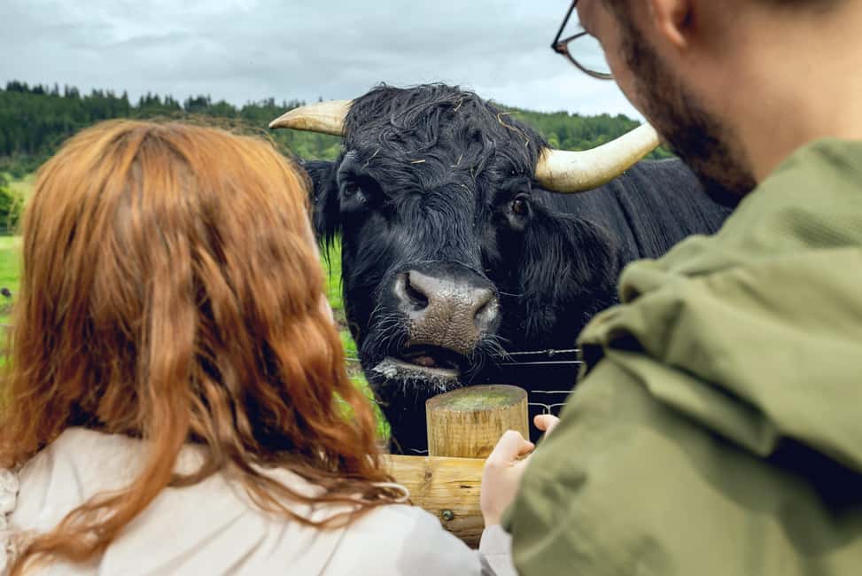 Edinburgh to Scottish Highlands: Whisky, Views & Hairy Coos - Deanston Distillery: a cotton mill story plus a single malt tasting option
