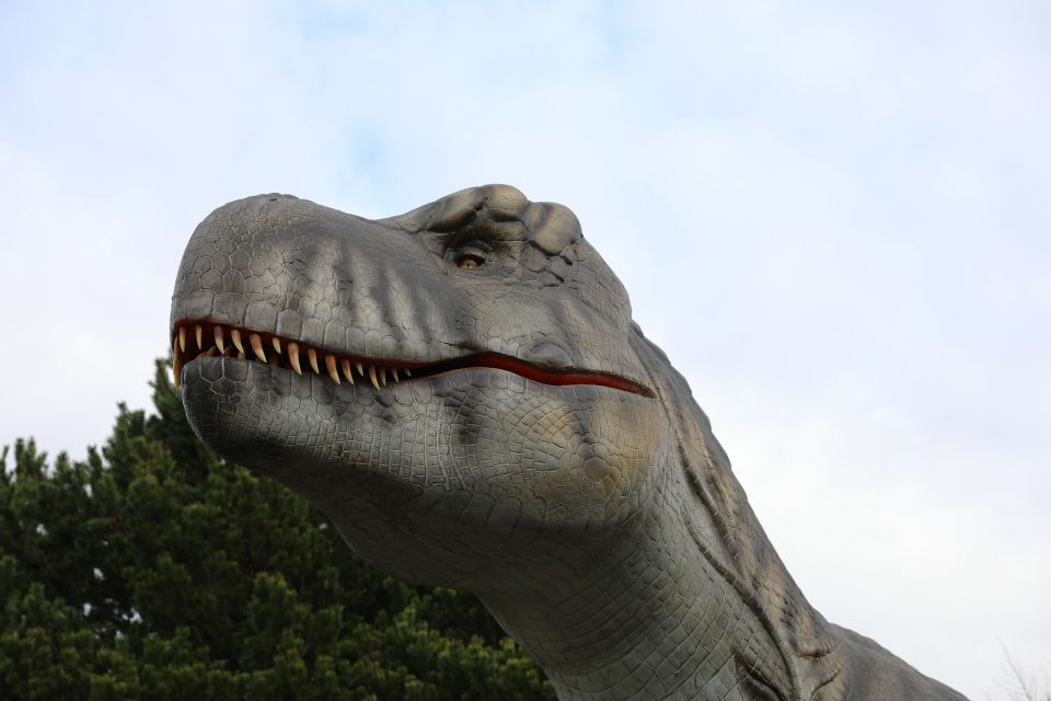 Edinburgh Zoo Entrance Ticket - Value Check: Why This Ticket Often Feels Like a Smart Buy