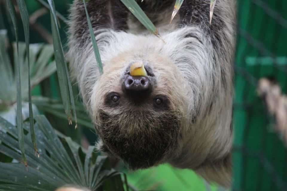 Edinburgh Zoo Entrance Ticket - Daily Keeper Talks: The Fastest Way to Learn Something Real