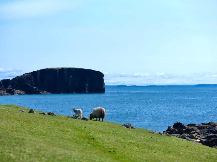 From Edinburgh: 6-Day Shetland & Nothernmost Explorer - Key things I’d watch for before you go