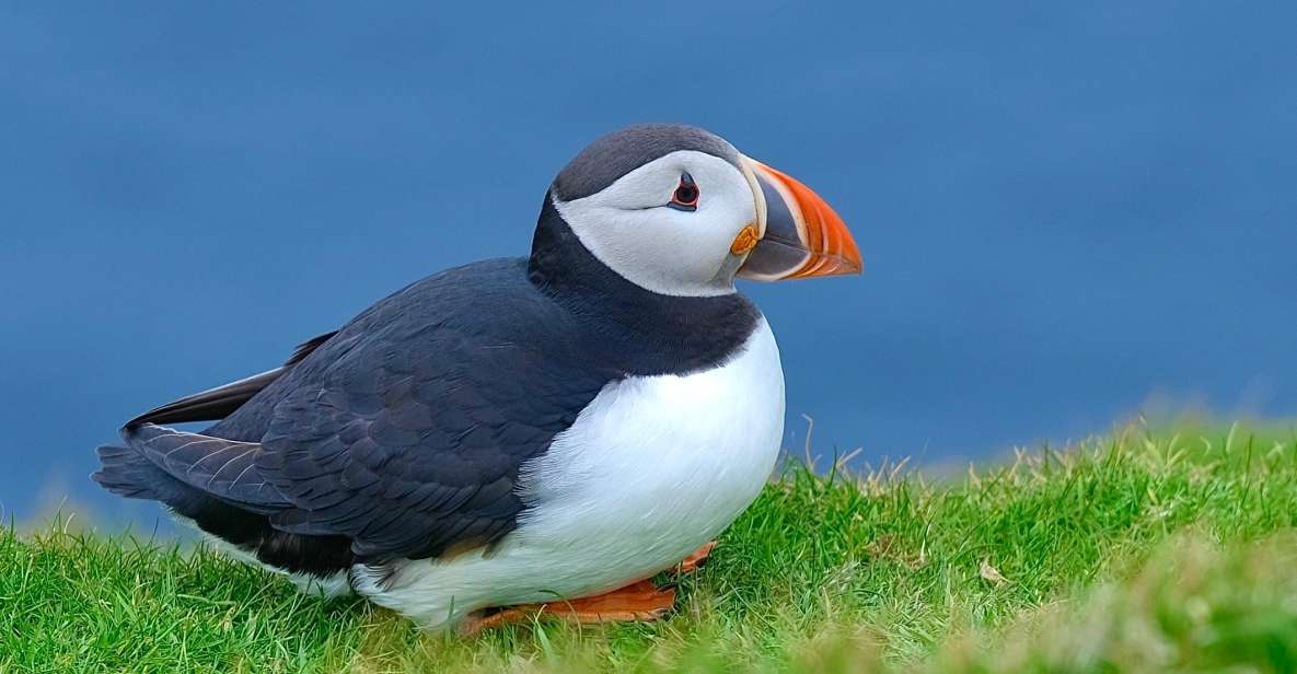 From Edinburgh: 6-Day Shetland & Nothernmost Explorer - Why Shetland’s far north feels different from the rest of Scotland