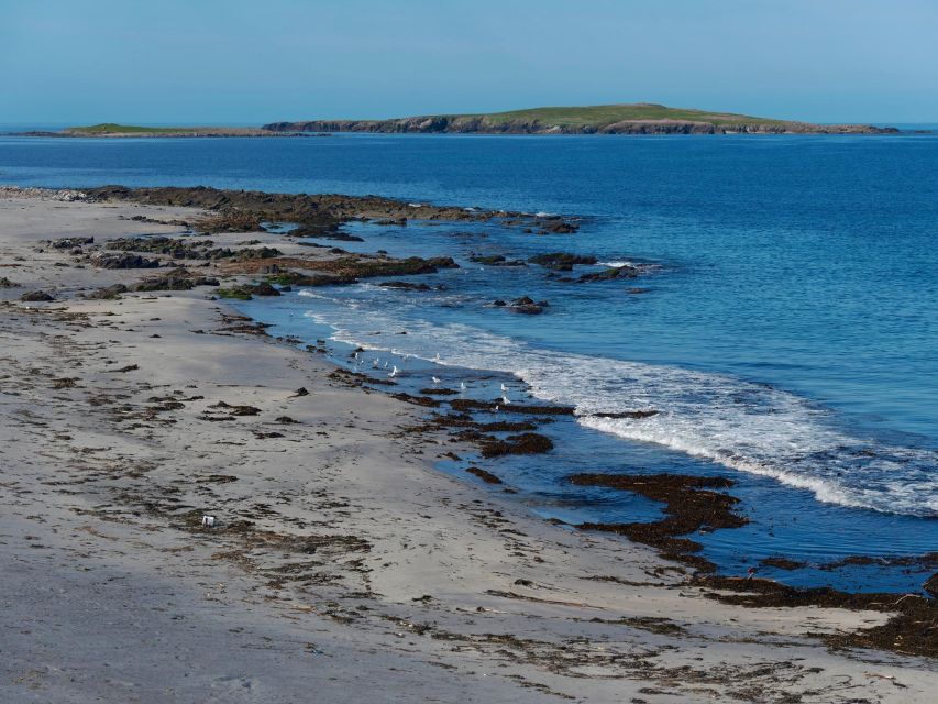 From Edinburgh: 6-Day Shetland & Nothernmost Explorer - Lerwick and Sumburgh Lighthouse: the practical start of island time