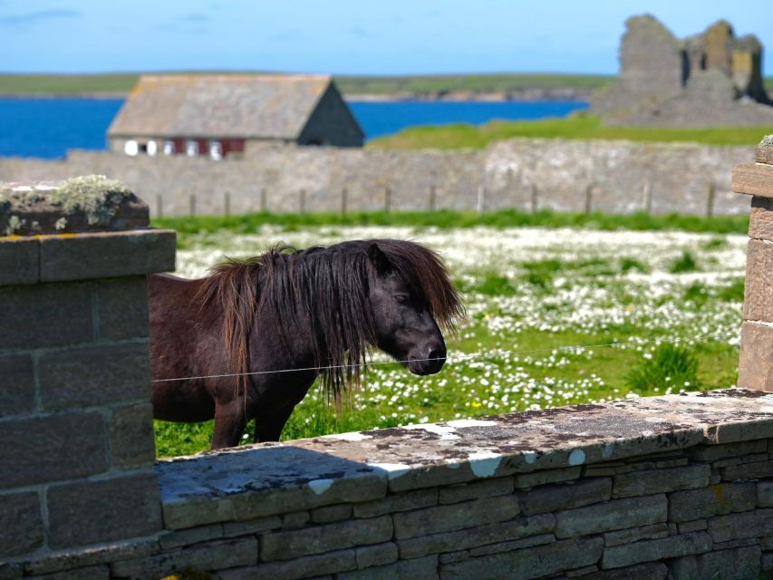From Edinburgh: 6-Day Shetland & Nothernmost Explorer - St Ninian’s Ayre and Eshaness: cliffs, shell scatter, and big-wave drama