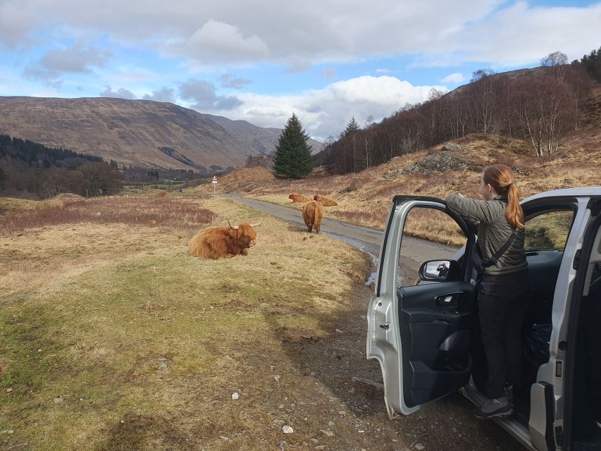 From Edinburgh: a Private Tour to a Majestic Highland Glen - Lawers Range and the roads toward Glen Lyon: red deer spotting mindset
