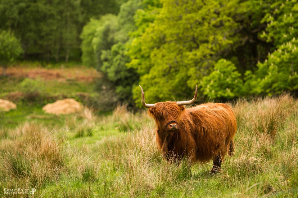 From Edinburgh: Isle of Skye and Hogwarts Express 4-Day Trip - Glen Coe: the glen where the scenery has weight