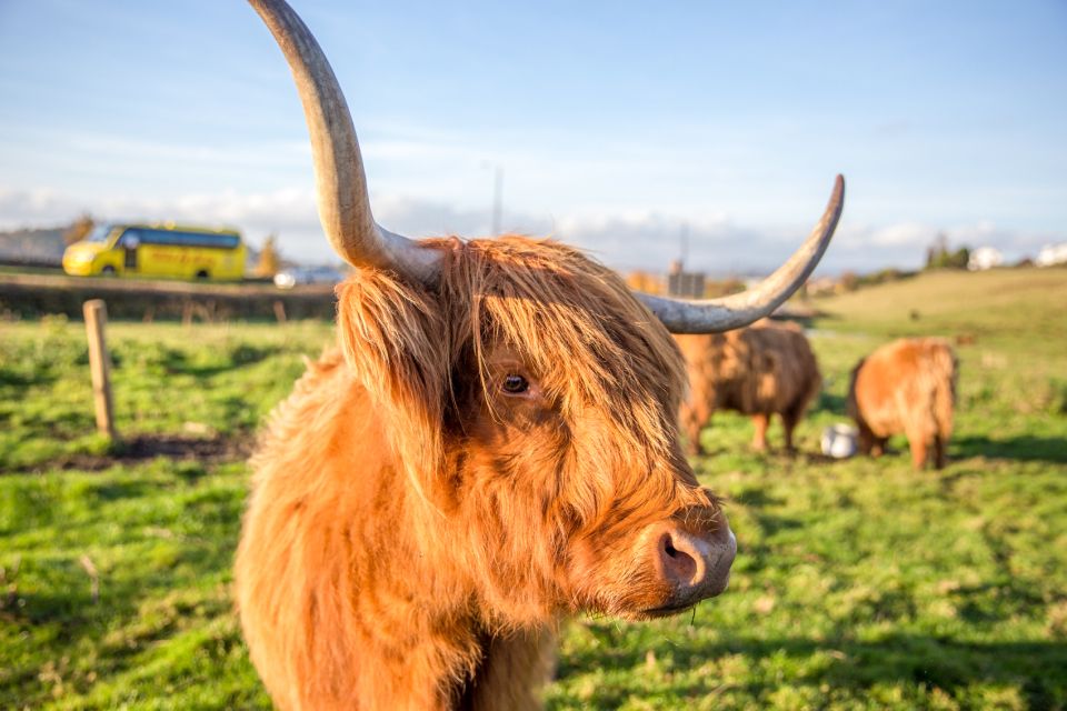 From Edinburgh: Isle of Skye & The Highlands 3-Day Tour - Isle of Skye day: ruined castles, clan stories, and Cuillin awe
