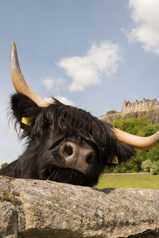 From Edinburgh: Loch Lomond, Stirling Castle & Kelpies Tour - Getting Started at Castle Terrace and How the Timing Feels