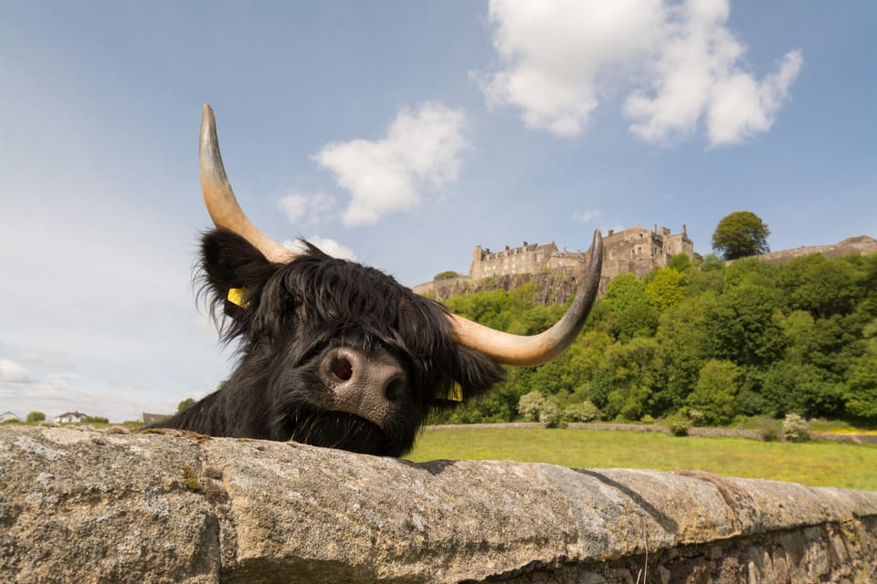 From Edinburgh: Loch Lomond, Stirling Castle & Kelpies Tour - Aberfoyle Lunch Stop: A Practical Reset in Rob Roy Territory