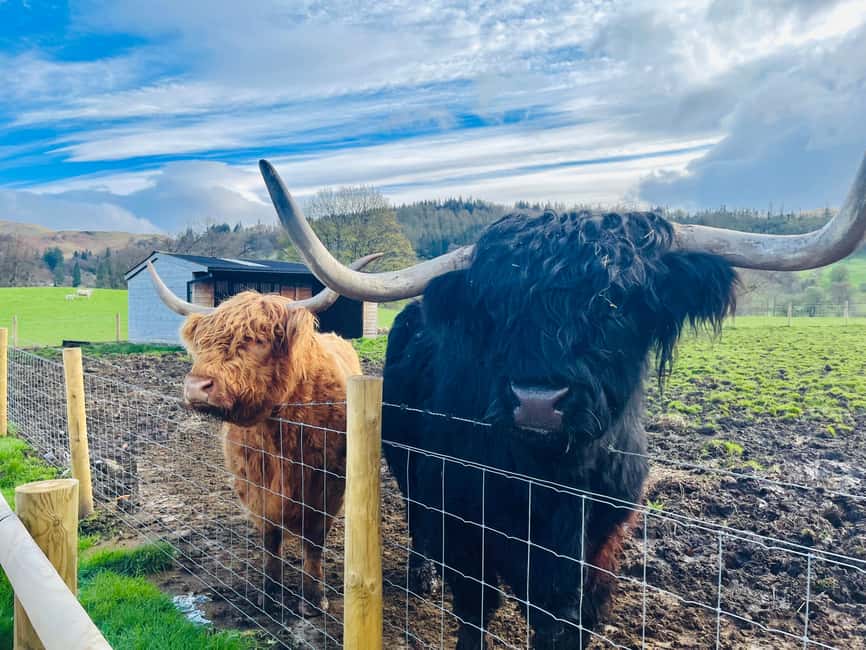From Edinburgh: Loch Ness, Glencoe & The Highlands Day Trip - Callander and Loch Tulla: stretching your legs before the real ridgelines
