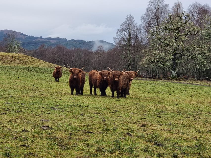 From Edinburgh: Loch Ness Private Day Tour with Transfers - Key highlights at a glance