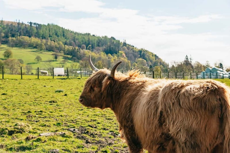 From Edinburgh: Loch Ness & Scottish Highlands Tour - Fort Augustus: Canal Walks, Highland Village Time, and Loch Ness Access