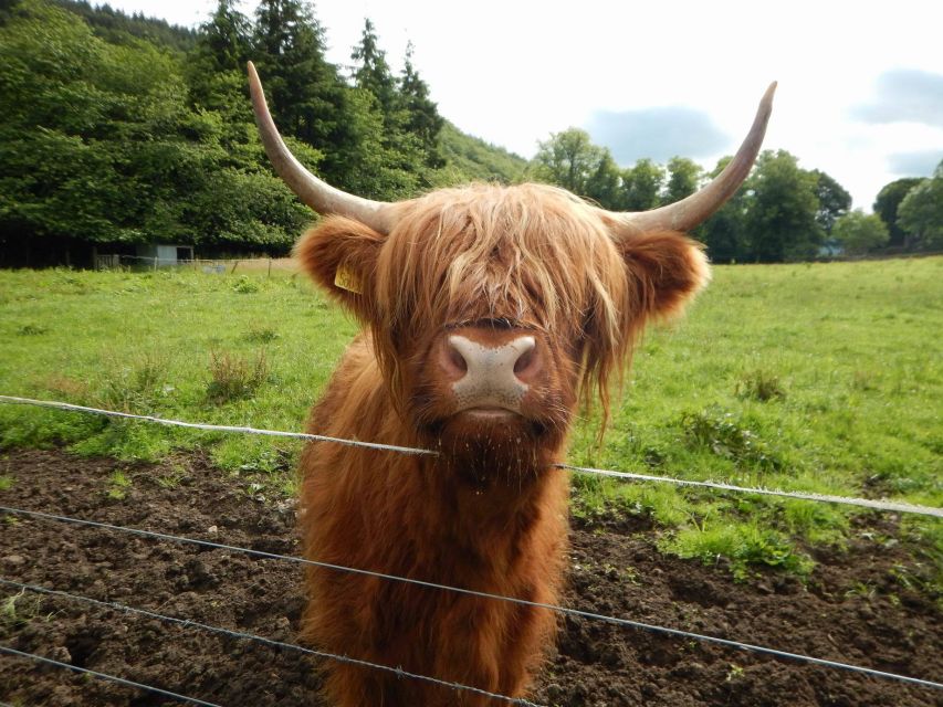 From Edinburgh: Orkney, Skye and the Far North 8 Day Tour - Value check: what’s included, what costs extra, and meal planning