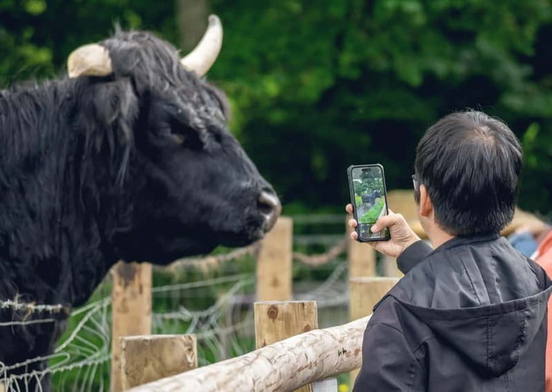 From Edinburgh: Stirling Castle, Kelpies and Loch Lomond - Key highlights