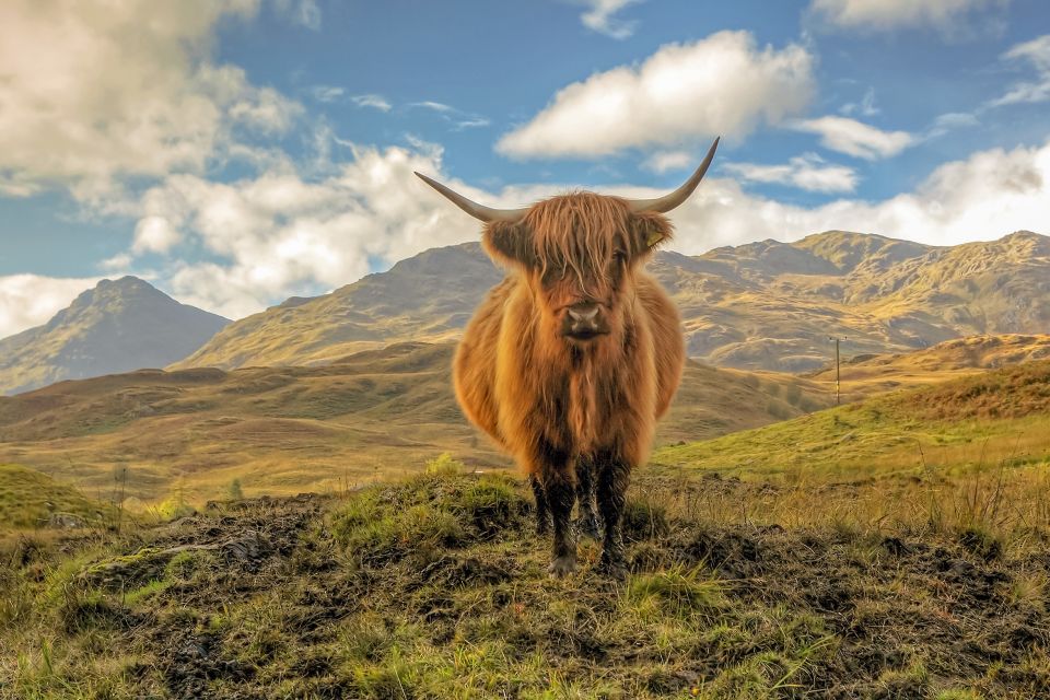From Edinburgh: Stirling Castle, Loch Lomond & Whisky Tour - Leaving Edinburgh for Glasgow: The Warm-Up Ride