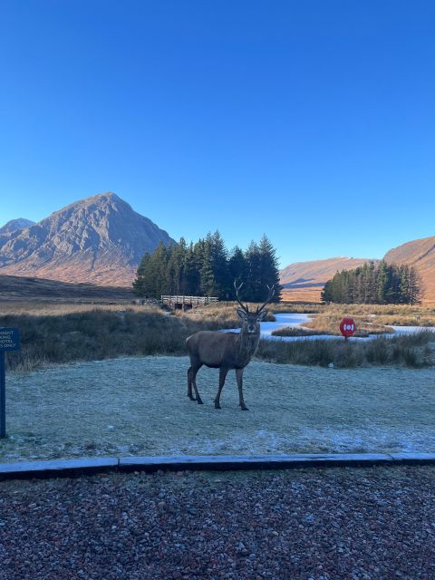 From Edinburgh: The Kelpies, Glencoe & Loch Lomond Day Tour - Entering the Highlands from Edinburgh, without the big-tour stress