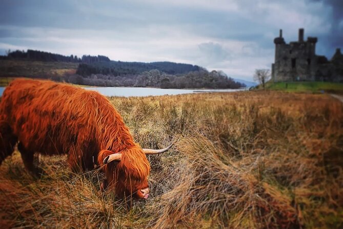 Full Day Private Tour in West Highlands, Oban and Glencoe - Private West Highlands day: how the value stacks up