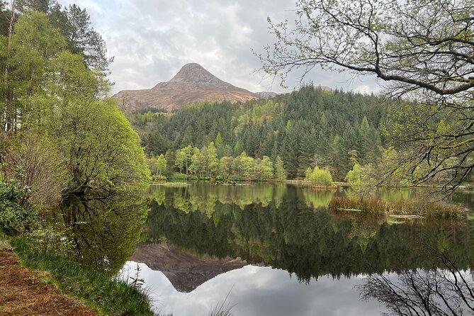 Full Day Private Tour in West Highlands, Oban and Glencoe - Kilchurn Castle: exterior views, ruins, and Highland cows