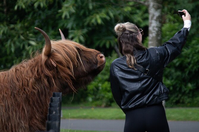 Highlands Cows Glencoe and Castles Private Tour from Edinburgh - Key highlights worth planning around