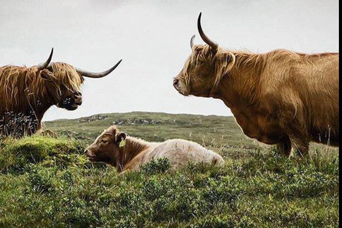Highlands + Glencoe + Loch Ness Private Tour - Key Takeaways Before You Go