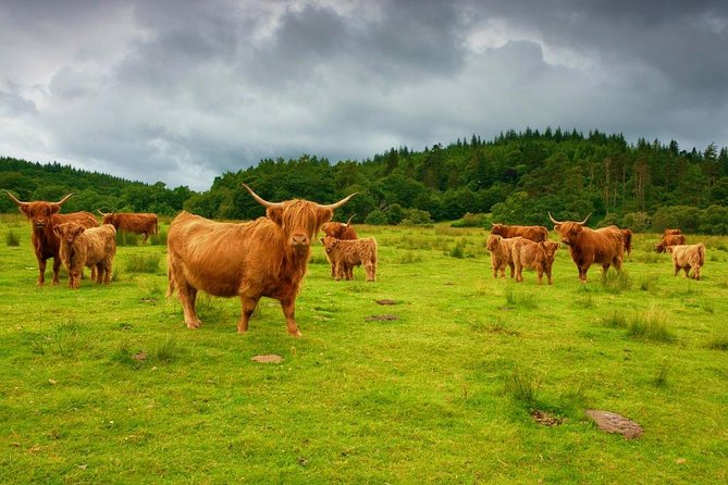 Highlights of Scotland Custom Private Tour from Edinburgh - Deanston Distillery: a working mill story and an easy tasting finish