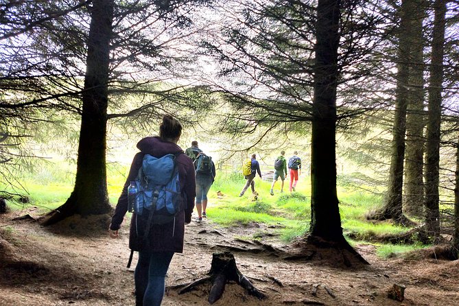 Hill & Nature Hike - Discover Real Edinburgh With a Local Expert - Learning with Rishi: plants, geology, and Scottish context on the move