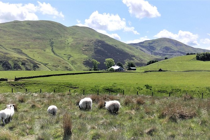 Hill & Nature Hike - Discover Real Edinburgh With a Local Expert - Price and value: what you get for $116.68 per person