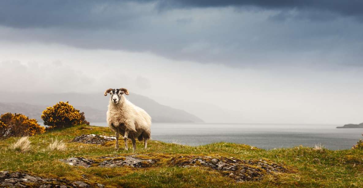 Iona, Mull, and Isle of Skye: 5-Day Tour from Edinburgh - Day 2 Mull and Iona: sea views, Iona abbey time, and optional Staffa