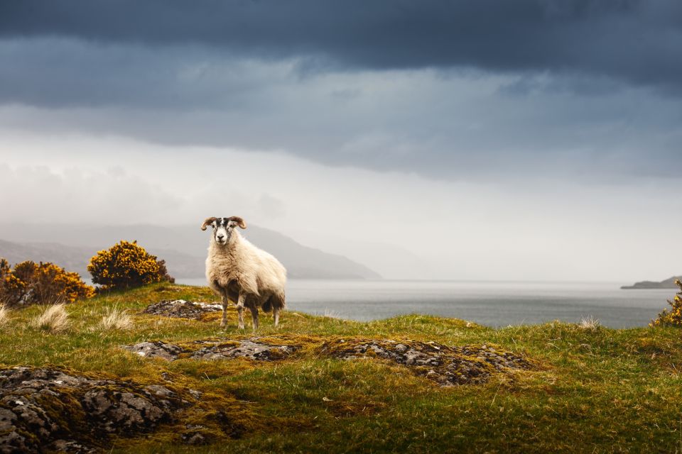 Iona, Mull, and Isle of Skye: 5-Day Tour from Edinburgh - Day 3: Glencoe power, Castle Stalker photos, and Eilean Donan again