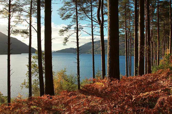 Loch Lomond, Kelpies & Stirling Castle Tour Including Admission - Small-group vibe and why the Mercedes mini-coach helps